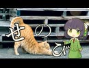 せのび / 10%man feat.京町セイカ