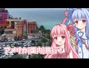 【海外旅行（国内）投稿祭】アメリカ（国内）旅行！