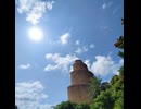 名桜エイサー GREEN CHANPUROO-vol.1- 珍奇・熱帯・逸品が混ざる緑の混沌市 海洋博公園 熱帯ドリームセンター