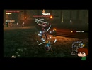 ⌘プレイアーカイブ⌘ ハイラル無双 その29