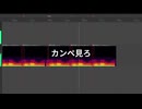 ｶﾝﾉﾐﾎ検証
