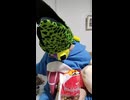 JR身延線〔波高島駅・下部温泉駅・甲斐常葉駅〕の鉄道事故・人身事故・電車と人がぶつかる接触事故・列車と車と人の衝突事故・列車死亡事故・踏切や駅のホームで電車にはねられ死亡事故0祈願