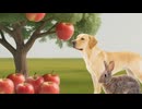 ホモと見るBBアニマル劇場