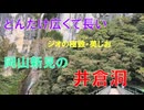 西日本有数　全長1,200mの巨大鍾乳洞　井倉洞(岡山県新見市)