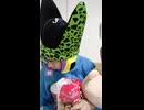 JR小海線〔乙女駅・東小諸駅・小諸駅（長野県・中部地方）〕の鉄道事故・人身事故・電車と人がぶつかる接触事故・列車と車と人の衝突事故・列車死亡事故・踏切や駅のホームで電車にはねられ死亡事故0祈願