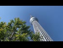 株式会社田中構造設計｜都市の象徴スカイツリー