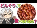 【ゆかりさん教えて！】どんぐりって食べられるの？