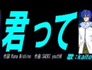 【KAITO】君って【カバー曲】