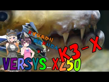 きずなあかりと東北きりたんとVERSYS-X250/数年ぶりのアクアトト岐阜編