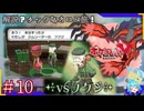 ジム挑戦に腕力は必須ってことネ＃10【ポケットモンスターY】