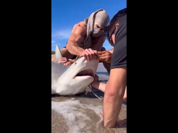 ホモと見るドローンでサメを釣りる陽キャ