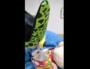 JR飯山線〔戸狩野沢温泉駅・上境駅・上桑名川駅〕の鉄道事故・人身事故・電車と人がぶつかる接触事故・列車と車と人の衝突事故・列車死亡事故・踏切や駅のホームで電車にはねられ死亡事故0祈願