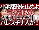 □【緊急拡散】なぜ小池百合子氏は撤回しない？ガザ・リビエラ計画と東京都エジプト合意の闇□2025年8月の密約から高市総裁就任まで…トランプ・エジプト・小池氏を繋ぐ点と線を公開データで検証□□