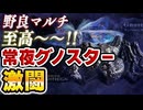 【常夜グノスター】やはり野良マルチが最高だと再認識できる戦い 【エルデンリングナイトレイン】