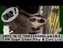 【#朝活】2025/10/15 7時のフクモモ部屋んぽ&お世話 / 7 AM Sugar Glider Play & Care Live #おはモモンガ #フクロモモンガ #sugarglider
