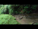 地獄橋へ