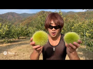 ドキュメンタリー風AIタクヤ集.sora2