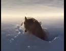 飛ぶ犬
