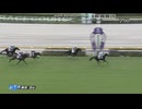 新馬　イクシード　カウントダウンＴＣつき