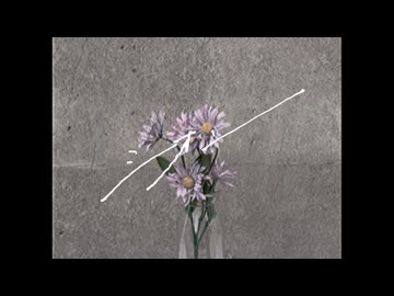 シオン - 甘井素甘 Music Video