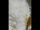 78230628856__E5DFC3BD-5B16-4604-BB99-B4E507CF410B