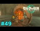 【ゆっくり実況】ティアキンぜんぶやる #49