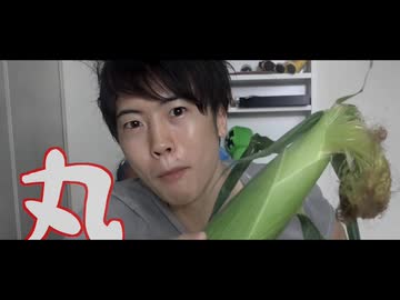 トースト鳴動ンパン