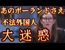 20251015_国境の出入国管理が厳しいあのポーランドでさえ、不法外国人に大迷惑！