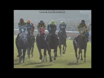 メジロドーベル レプリカゼッケン2枚セット 稀少】トウカイテイオー