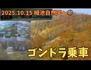 栂池（つがいけ）自然園へ行こう(1/5) ゴンドラ乗車で距離4100m 標高差700m強を移動