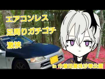 花ちゃんとドライブデート♡♡♡　in巾着田曼珠沙華公園