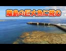 喜界島の巨大魚にガチで対戦挑んでみた【釣り | 喜界島】2025.10.02