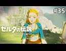 付いて来ないで下さい！【ゼルダの伝説 ブレス オブ ザ ワイルドのんびり実況】#35