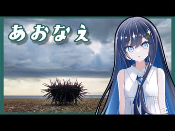 【奥尻島④】ふたばの夜 ＃16【離島旅行祭2025】【VOICEROID旅行】
