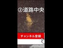 【ASMR】道路に降る雨の音「心が落ち着くリラックスサウンド