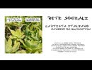 L'Artista Italiano - Reti Sociali