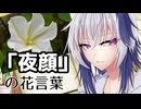 花と学ぶflower言葉 13本目