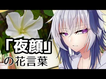 花と学ぶflower言葉 13本目