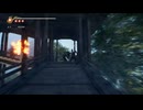 PC破解版《忍者龍劍傳II：黑》章節挑戰模式-上忍難度-第二期 (2)