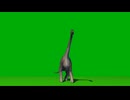 鳥の祖先はコイツ？テコドントサウルスの謎