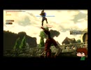 ⌘プレイアーカイブ⌘ ハイラル無双 その38