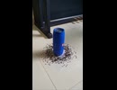 群れる虫