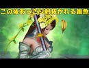 【無双OROCHI３ Ultimate】【リョナ】【関銀屏】【神格化】 もう、抑えられない！（遺言）