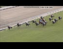 【カウントダウンＴＣつき】2018 秋華賞 (GⅠ)　アーモンドアイ