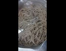 二八そばを水道水でアラ熱取り