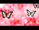 Chillout「桜」03136