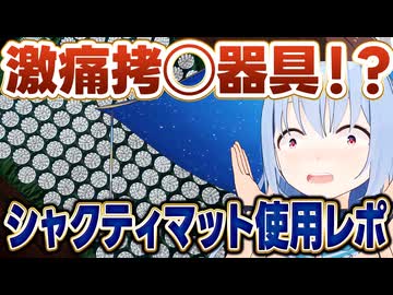 拷問器具！？激痛すぎる健康器具シャクティマットを試してみたVTuber
