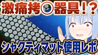 ブロック・レスナー vs. フランク・ミア 09年7月11日 UFC 100