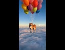 風船犬つづきのつづき