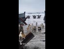 ノルマンディーヌ